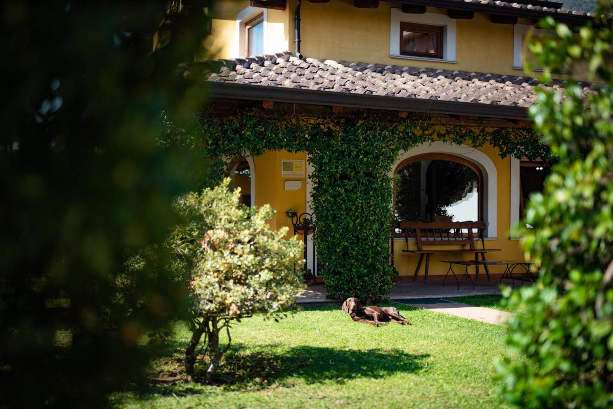 Hotel Villa Rizzo Resort And Spa San Cipriano Picentino Exteriér fotografie